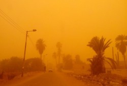 ارتفاع عدد مصابى سوء الأحوال الجوية لـ332 بالمنيا وأسيوط