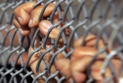 135 سنة  مجموع الحكم على معتقلي هزليتي "الوراق وإمبابة"