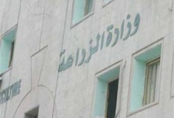 رعب في وزارة زراعة الانقلاب بعد سقوط مصعدين