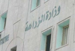 رعب في وزارة زراعة الانقلاب بعد سقوط مصعدين