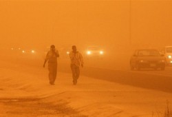 خبير بالطقس: "الرياح الخمسينية" ستنشط خلال فصل الربيع