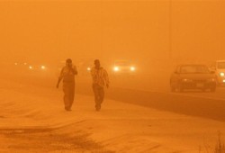 خبير بالطقس: "الرياح الخمسينية" ستنشط خلال فصل الربيع