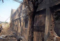 نفوق أكثر من 5 آلاف دجاجة في حريق مزرعة بالبحيرة