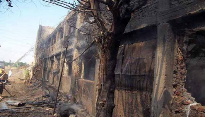 نفوق أكثر من 5 آلاف دجاجة في حريق مزرعة بالبحيرة