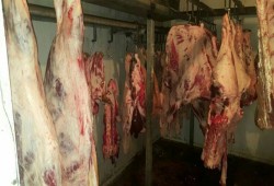 حكومة الانقلاب تستورد لحوما مقتولة بالرصاص من البرازيل