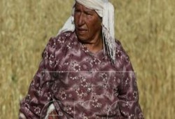 جيب عسكري إسرائيلي يدهس "حارسة الأرض" جنوب نابلس