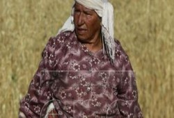 جيب عسكري إسرائيلي يدهس "حارسة الأرض" جنوب نابلس