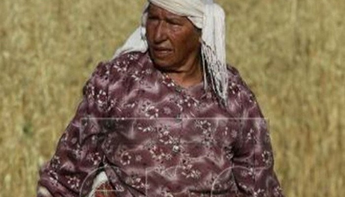 جيب عسكري إسرائيلي يدهس "حارسة الأرض" جنوب نابلس