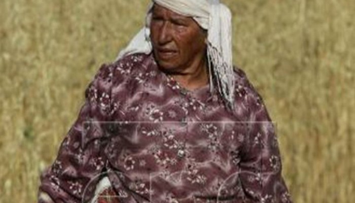 جيب عسكري إسرائيلي يدهس "حارسة الأرض" جنوب نابلس