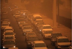 محام كويتي يدعو لوقف صرف رخص قيادة السيارة للوافدين