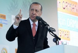 أردوغان: الأوروبيون كشفوا عن أقنعتهم عبر مواقفهم من الأزمة السورية والاستفتاء في تركيا