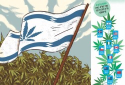 دولة الاحتلال تتصدر العالم في استخدام "الحشيش"