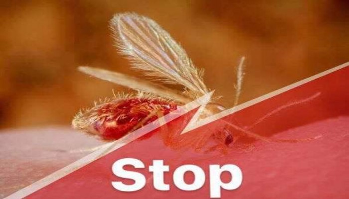 "حياتهم حقهم" حملة تطالب بالمسح الصحي لجميع السجون