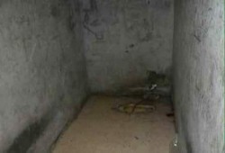 صورة من العقرب تكشف معاناة الغنيمي وزوج ابنته