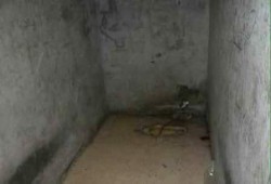 صورة من العقرب تكشف معاناة الغنيمي وزوج ابنته