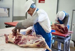 العسكر يوزع لحوما فاسدة.. وشعاره: الشعب ياكل الزلط!