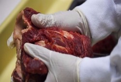 بلومبرج: لماذا يستمر السيسي في استيراد اللحوم الفاسدة من البرازيل؟!