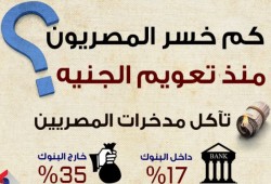 كم خسر المصريون منذ تعويم الجنيه؟ (إنفوجراف)