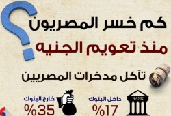 كم خسر المصريون منذ تعويم الجنيه؟ (إنفوجراف)