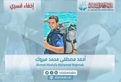 مليشيات الانقلاب تخفي 4 مواطنين بالجيزة والغربية