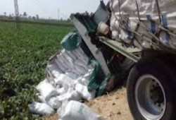 نحس السيسي.. انقلاب سيارة محملة بـ30 طن سكر بسوهاج