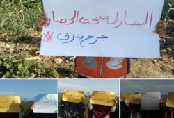 نساء ضد الانقلاب بدمياط تتضامن مع "البصارطة"