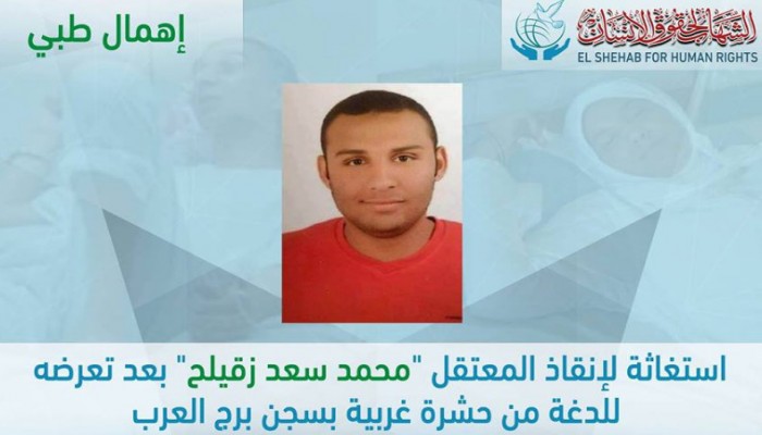 الشهاب ينشر رسالة والد معتقل لدغته حشرة غريبة بسجن برج العرب