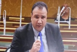 الحصانة تحمي نائب ببرلمان السيسي سرق أراضي الدولة