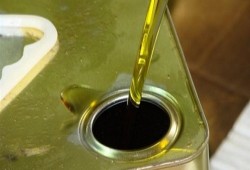 أوكرانيا تصدر لمصر زيوتا مغشوشة بنفايات الدجاج