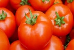 دولة العسكر تصيب المصريين باليأس قبل رمضان.. الدواجن بـ34 والطماطم بـ12