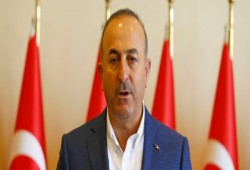 جاويش أوغلو: مسؤولون عن مليارين من أمتنا الإسلامية