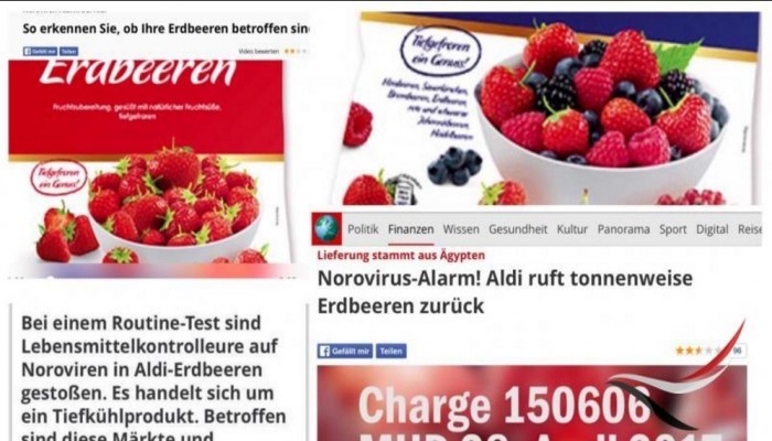 التلفزيون الألمانى يحذر من الفراولة المصرية