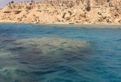 بعد أيام من لقاء سلمان والسيسي .. الأمور المستعجلة تقضي بإسقاط حُكم ''مصرية تيران وصنافير''