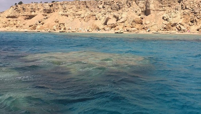 بعد أيام من لقاء سلمان والسيسي .. الأمور المستعجلة تقضي بإسقاط حُكم ''مصرية تيران وصنافير''