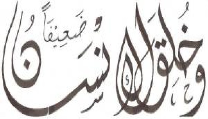 أيها الانسان ما اضعفك ؟!