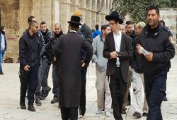 67 مستوطنا يقتحمون باحات الأقصى