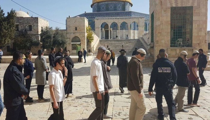 1782 مستوطنًا اقتحموا الأقصى خلال مارس