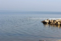 "الزراعة": 75% نسبة التراجع فى إنتاج بحيرة قارون من الأسمك