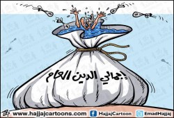 هل أنت مصري؟! .. تعرف على نصيبك من الدين العام في عهد الانقلاب