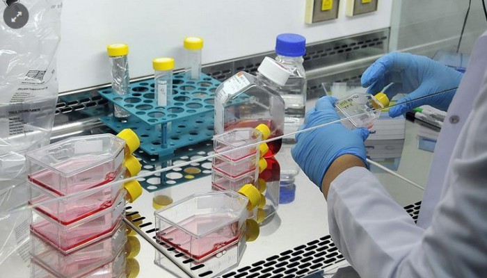 اتحاد علماء المسلمين يدين غارات النظام السوري بالغازات السامة على إدلب