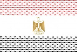 نيويورك تايمز: ترامب كافأ السيسي عدو حقوق الإنسان