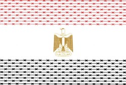 نيويورك تايمز: ترامب كافأ السيسي عدو حقوق الإنسان
