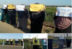 "ستظل فاقد الشرعية" عنوان سلسلة بشرية صباح اليوم لحرائر دمياط