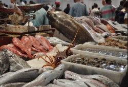 لهذه الأسباب ارتفعت أسعار الأسماك