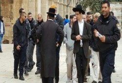 عشرات المستوطنين يقتحمون باحات الأقصى