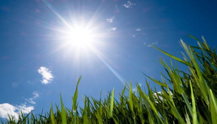 الأرصاد: غدا طقس معتدل شمالا حتى الوجه البحرى.. والعظمى بالقاهرة 29