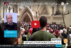 محلل سياسي: الإرهاب الضمان الوحيد لبقاء السيسي