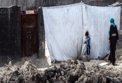 أهالي الموصل يأكلون "الحشائش"