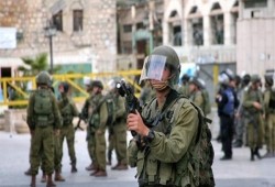 اللجنة النضالية للأسرى الفلسطينيين تحذر من تصعيد الاحتلال مع إضراب 17 أبريل
