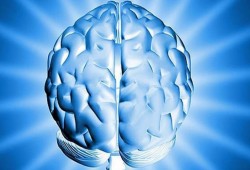 الدماغ يحتفظ بنسختين من الذاكرة في آن واحد